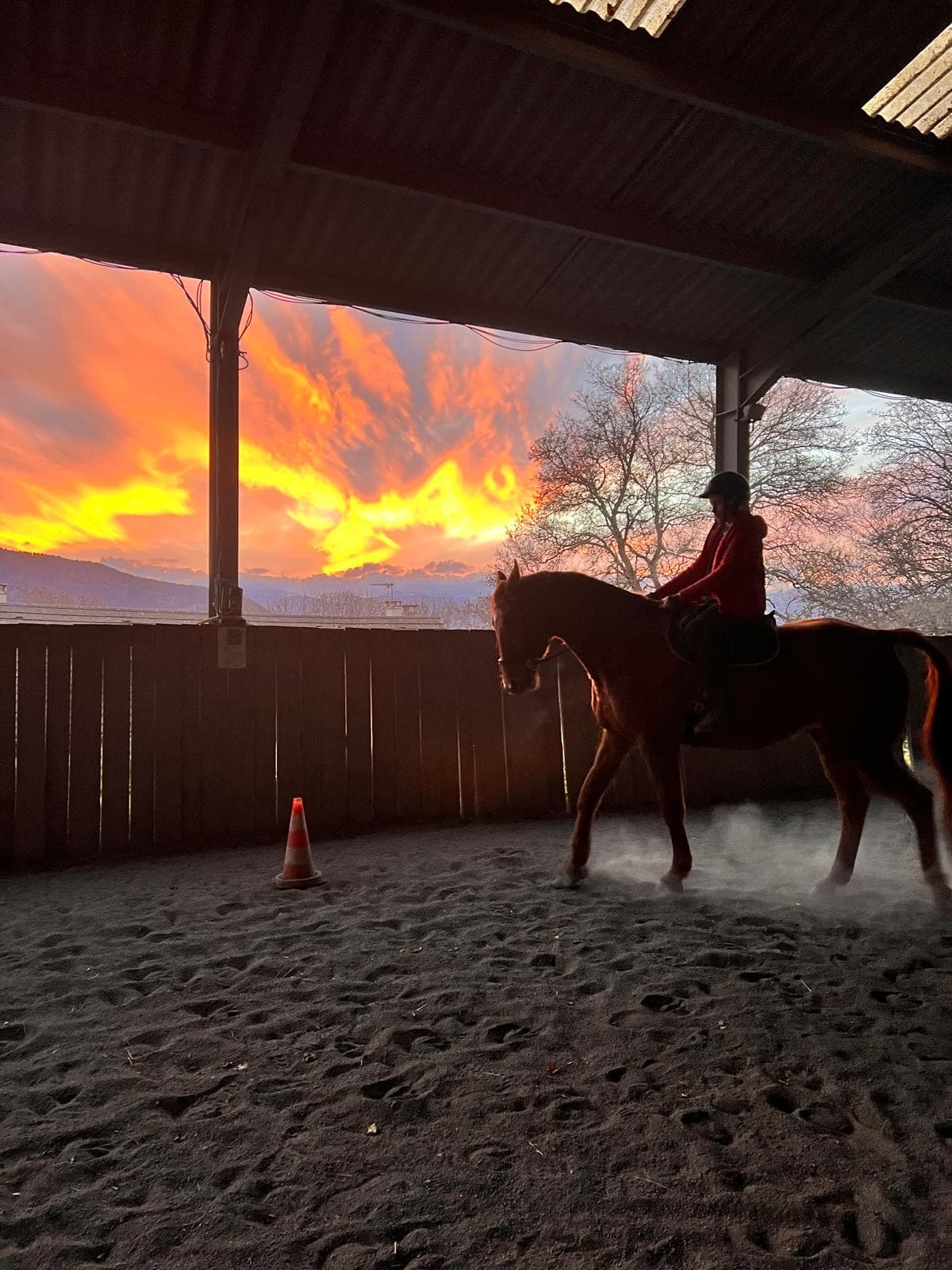 Chevaux au pâturage près des Lacs de Laffrey en Matheysine
