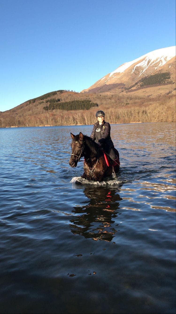 Balade à cheval au coucher du soleil en Isère