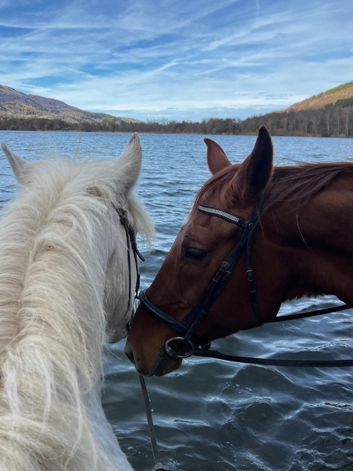 Cours d'équitation pour enfants au centre équestre H'VAL