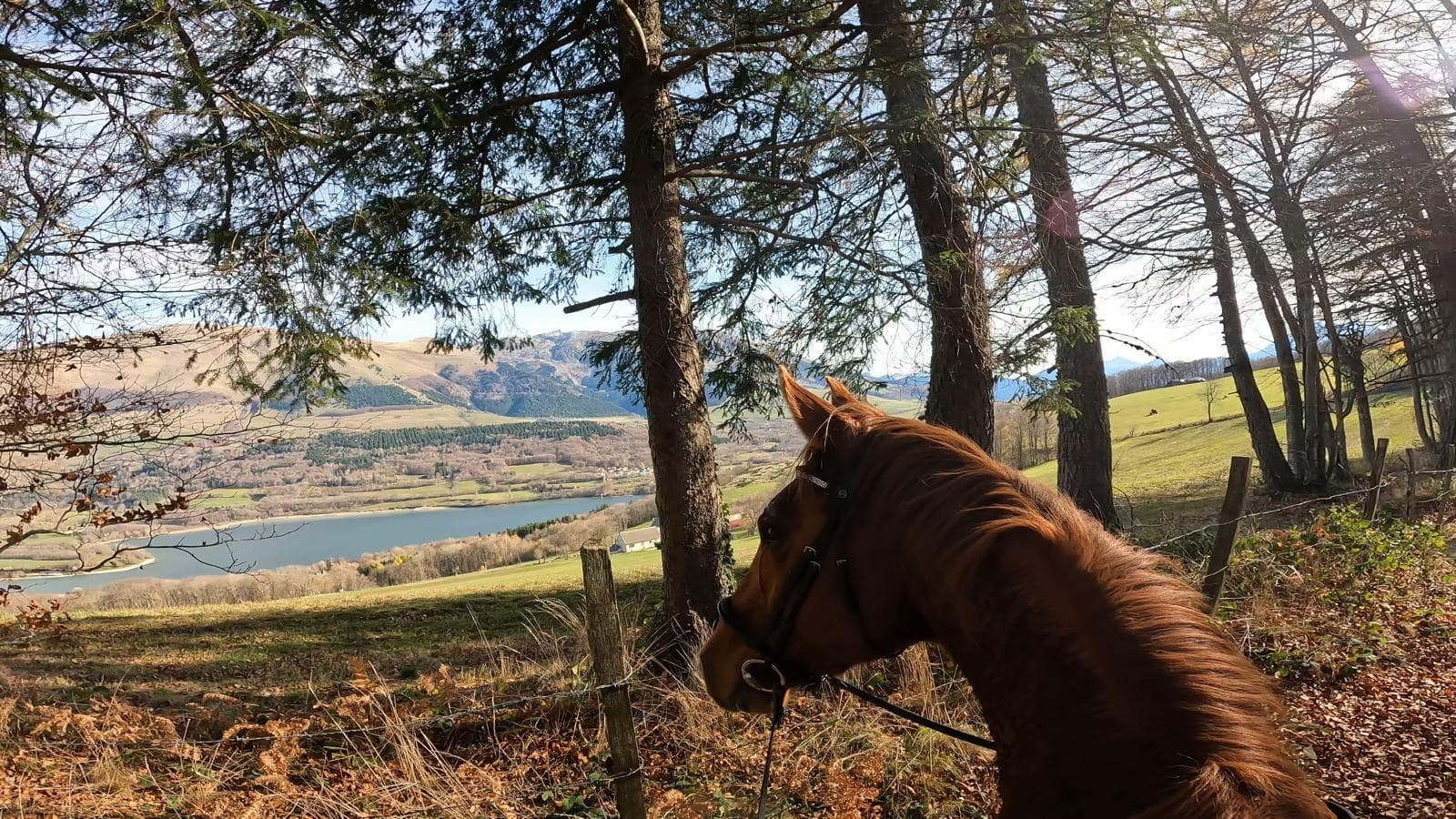 Vue sur Pierre Percée depuis un sentier équestre en Matheysine